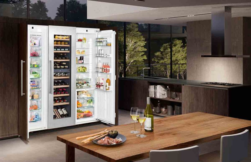 Top Energy-Efficient Refrigerator